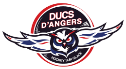 Logo Ducs d'Angers